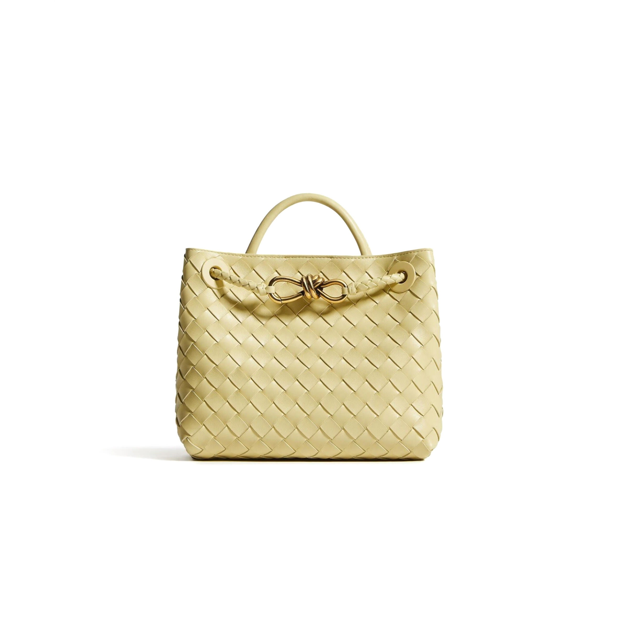 BOTTEGA VENETA SMALL ANDIAMO 743568 (25*22*10.5cm)